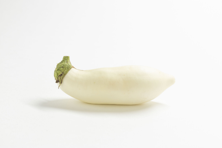 越後白茄子