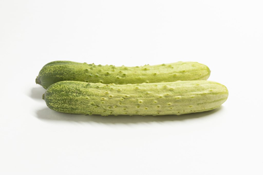 相模半白キュウリ