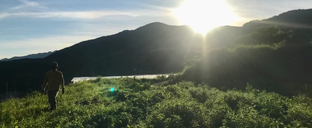 トップインナー